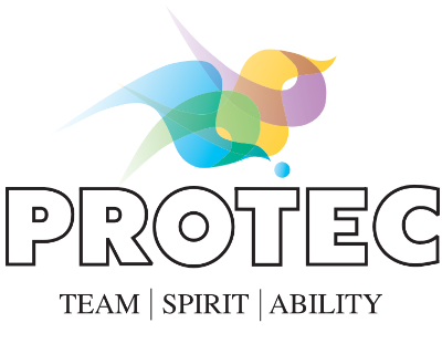 Logo Team Spirit Ability