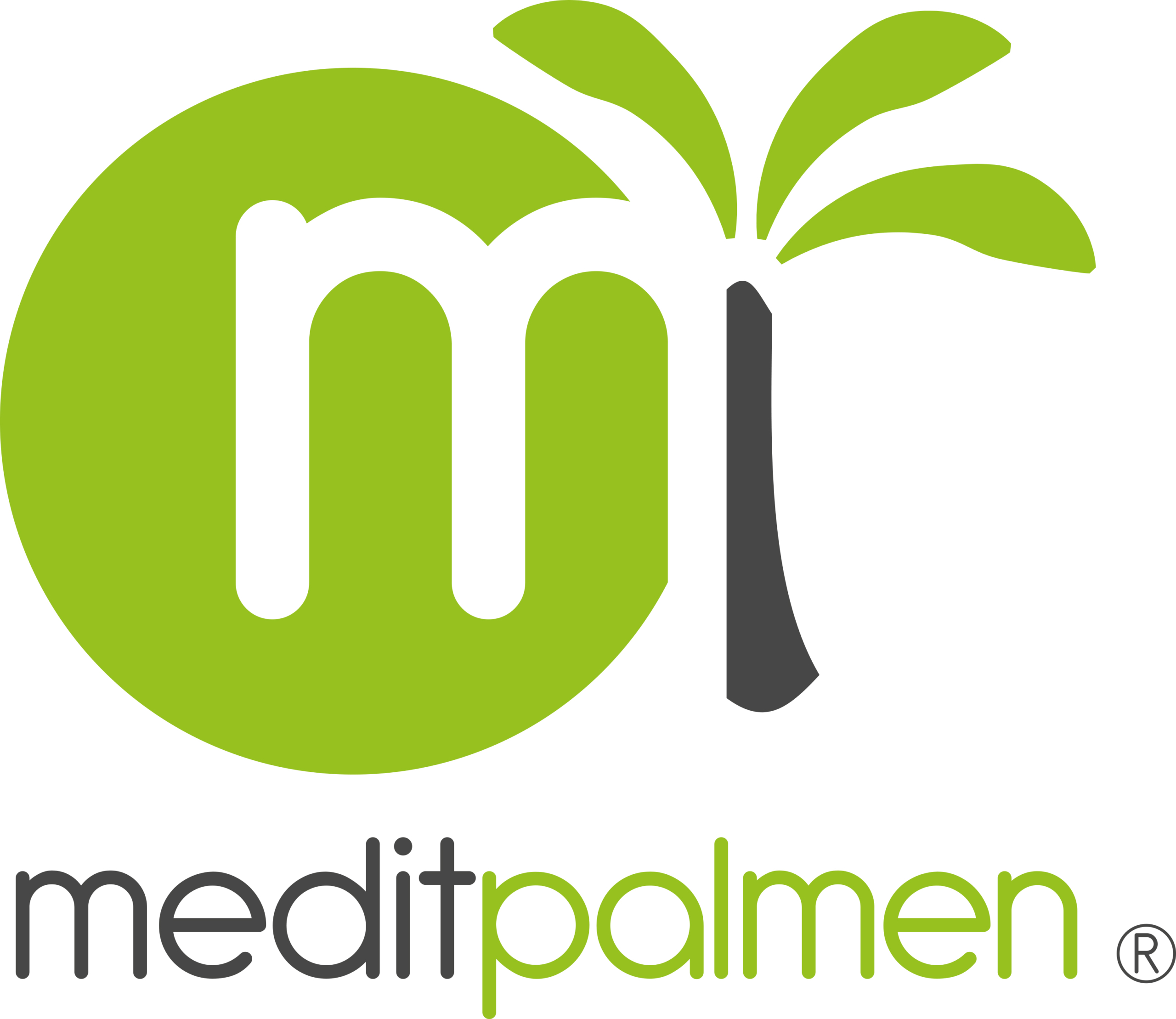 Logo Medit Palmen Registered