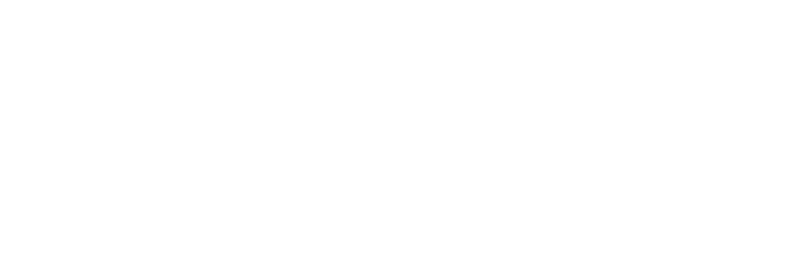 Bpd Logo