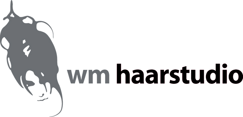 Logowmhaarstudio 2