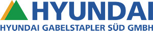 Logo Hyundai Sued